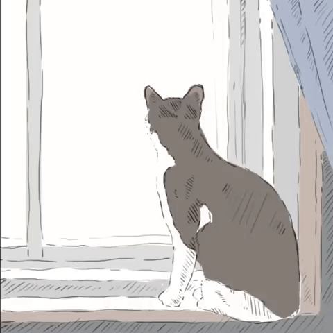 Cat Illustration GIF by molehill