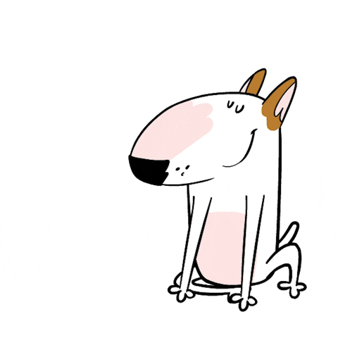 Bull Terrier Yes GIF by Jimmy the Bull