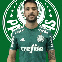 hashtag luan GIF by SE Palmeiras