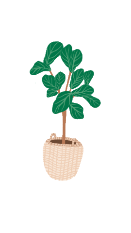 Plant Baskets Sticker by La Basketry