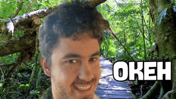 Oke GIF by CertificeringsAdvies