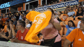 excited fans GIF by Houston Dash