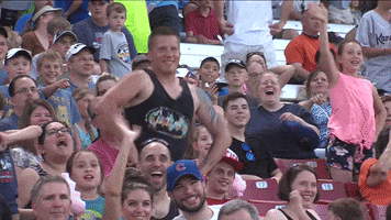 fan cam dancing GIF by Kane County Cougars