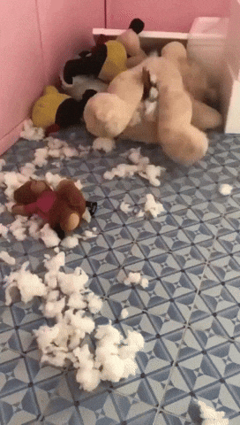 giphy.gif?cid=ecf05e47afsj7jxvgqxhfeh5lr