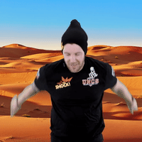 rally dakar GIF