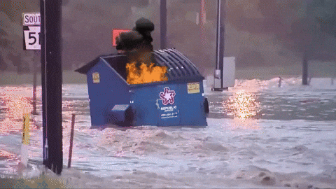 Dumpster Fire