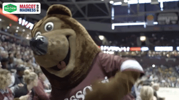 missouri state ncaa GIF by Missouri Valley Conference