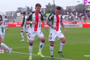 Bryan Carrasco Chile GIF by Club Deportivo Palestino