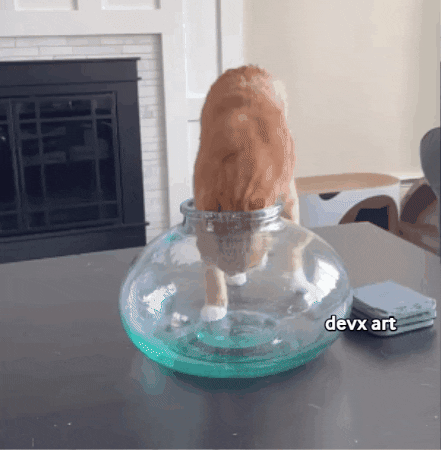 Cat Glass GIF by DevX Art