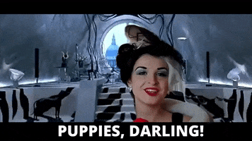 Puppies GIF