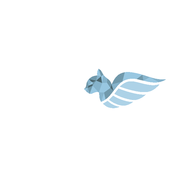 Piloto Aire Sticker by VirtualFly
