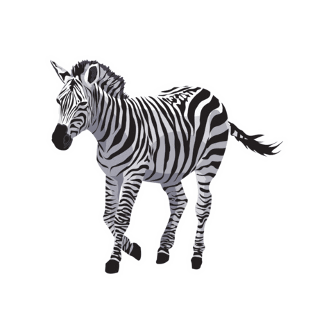 Zebra Sticker by Elder Frassi