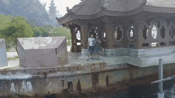 homeschool  GIF