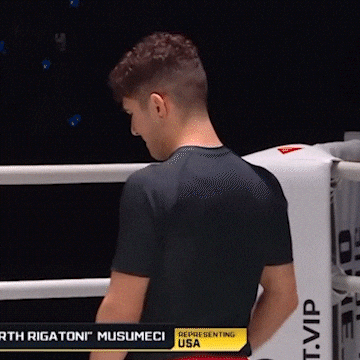 Mikey Musumeci GIF