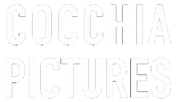 Director Sticker