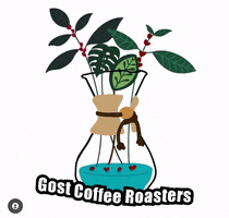 GostCoffeeRoasters gost coffee roasters GIF