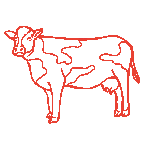 Icecream Staychill Sticker by chill bros