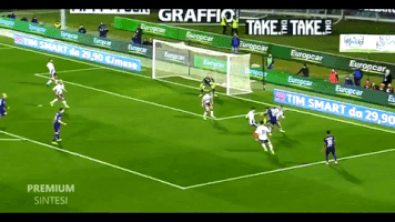 FLC  GIF