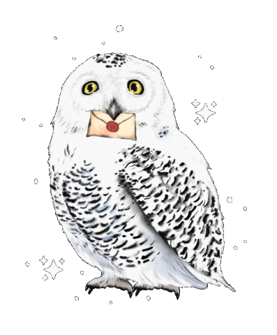 Harry Potter Magic Sticker