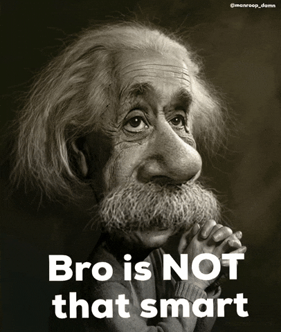Bro Is Not That Smart GIF