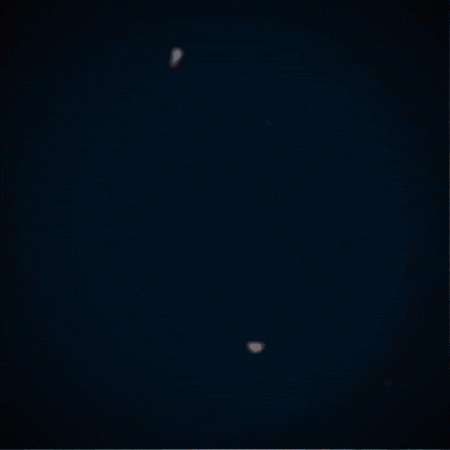 Trick Or Treat Halloween GIF by TeaCosyFolk