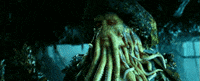 Best dutchman GIFs , Primo GIF , Latest Animated GIFs