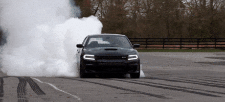 Image: https://media0.giphy.com/media/1wRaGtcKtDjyw/200_d.gif