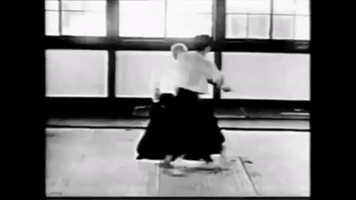 Aikido Bokken GIF