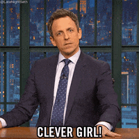 Seth Meyers GIF by Late Night with Seth Meyers
