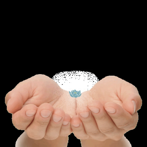 Fisioterapia Fisiozentro GIF