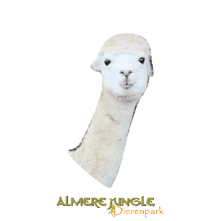 Alpaca Sticker by Almere Jungle