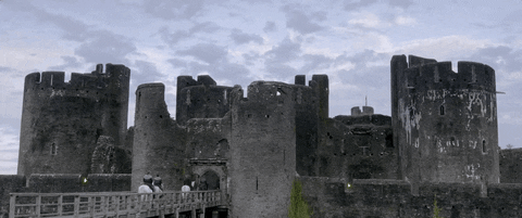 Robin Hood Castle GIF by Signature Entertainment - Find & Share on GIPHY
