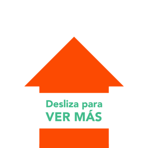 Temuco DigueãÂ±E Sticker by Digueñe TV