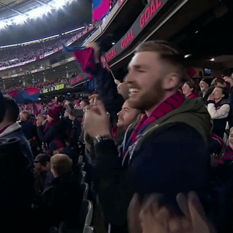 melbourne football club demons GIF by Melbournefc