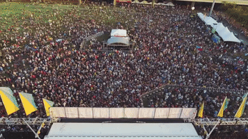 GIF by Big Ears Festival