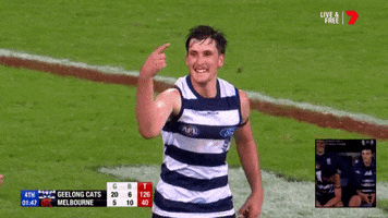 Aussie Rules Goals GIF by AFL