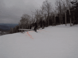 snowboarding veronica veronica GIF by Elevated Locals