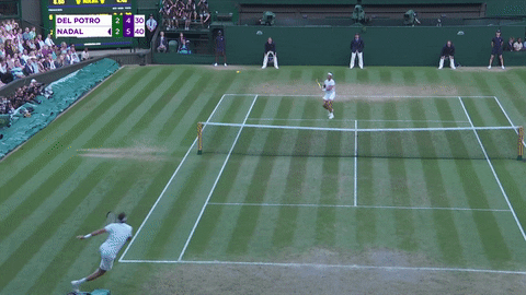 Del Potro Fall GIF by Wimbledon - Find & Share on GIPHY