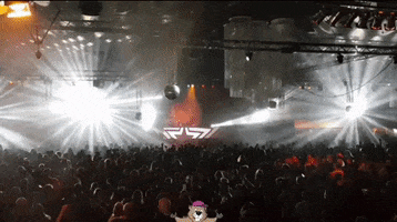 Dance Party GIF by De Bonte Wever