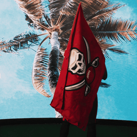 GIF by Tampa Bay Buccaneers