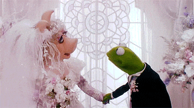 Just Married Love GIF - Find & Share on GIPHY