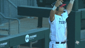 College Baseball Sec GIF by Texas A&M Athletics