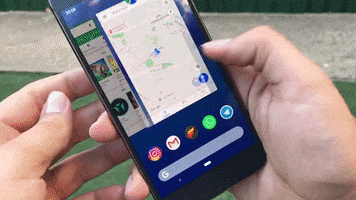 Animated GIF