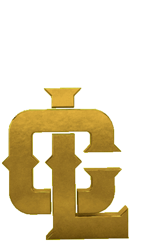 Bone Forro Sticker by Capa Loka Oficial