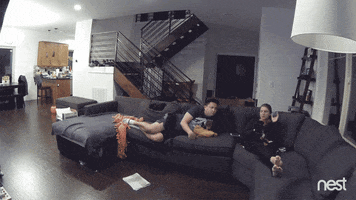 fail sorry not sorry GIF by Nest