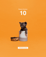 200.gif?cid=fc005b085ba5b59f03283eed5bfd97a9bf8c33c093bb8f14&rid=200.gif&ct=g