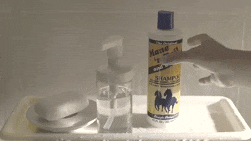 horse shower GIF by Mane 'n Tail