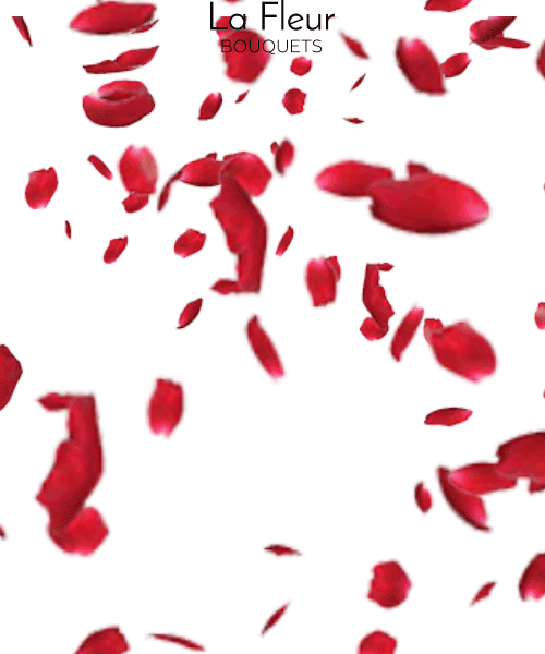 Happy Falling Flowers Sticker by La Fleur Bouquets for iOS & Android