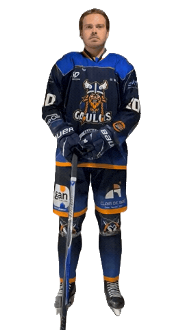 Celebration Goal Sticker by Hockey Club Châlonnais