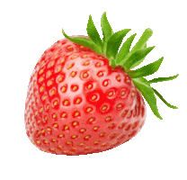 FROOTco Sticker